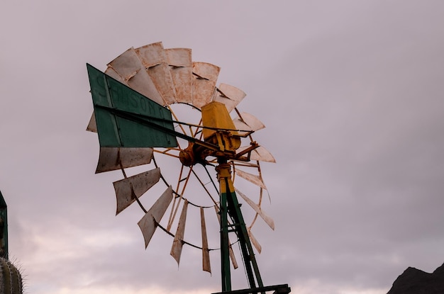 Moulin à Vent Vintage