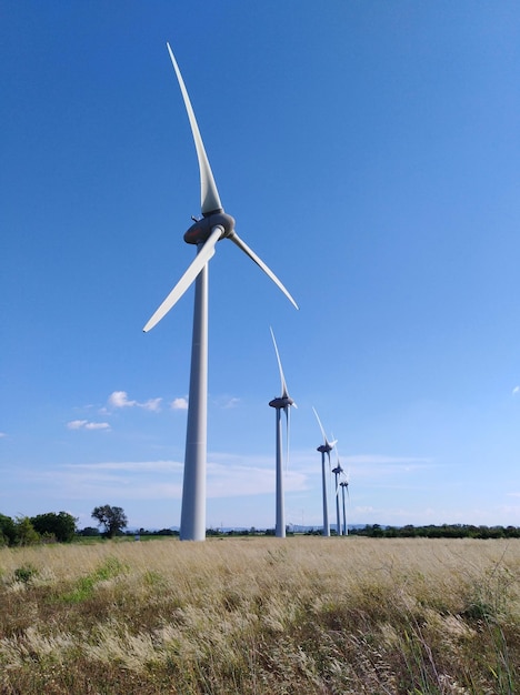 Des moulins à vent sur le champ contre le ciel