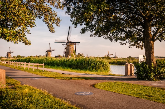 Photo moulins à vent hollandais près de la route