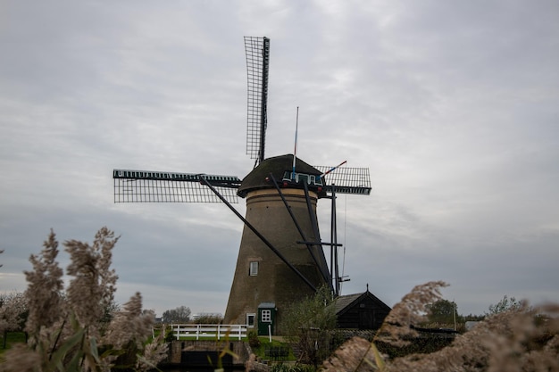 Moulins à vent de Kinderdijk en Hollande néerlandaise