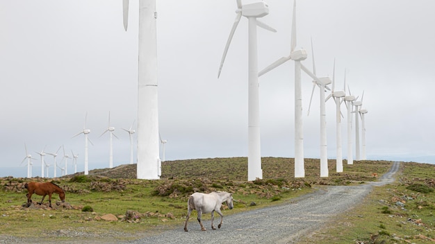 Moulins à vent pour la production d'énergie électrique avec route et chevaux