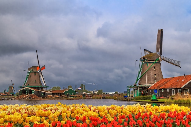 Moulins à vent de Zaanse Schans village calme aux Pays-Bas