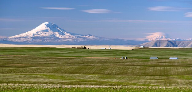 Mount Adams Mt Rainier Farm Agriculture Paysage de l'Oregon