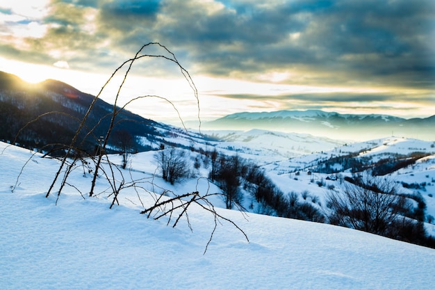 Mount Forest Beau panorama d'hiver Carpates