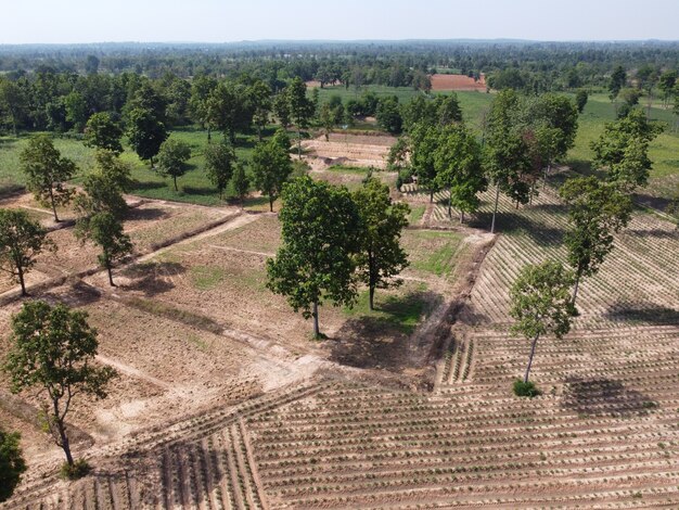 Mountainside farmland in rural Thailand, Photographie de paysage et Photographie de drone