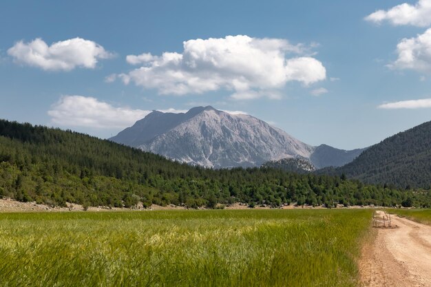 Mounth Tahtali semble entre champ de blé