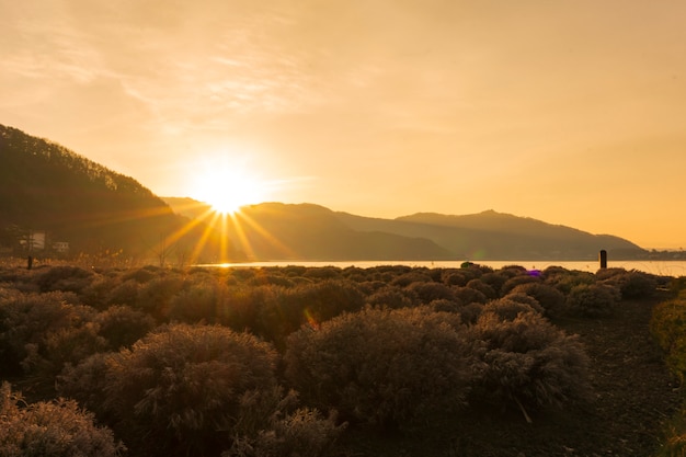 Mountian au lac kawaguchiko au Japon, lever du soleil matin paysage