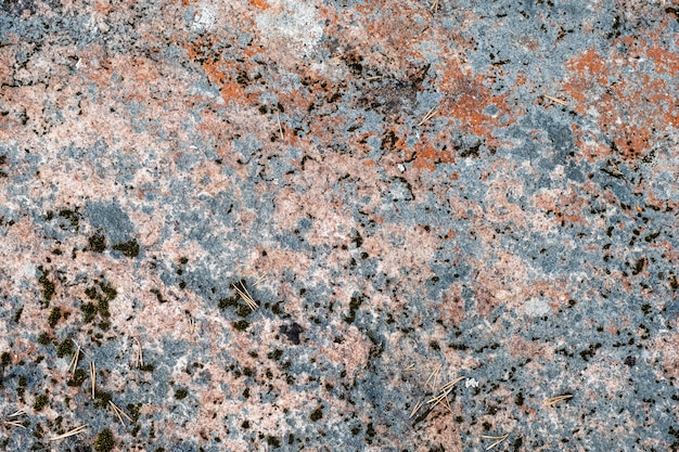 Mousse colorée sur le rocher. Fond naturel en pierre avec de la mousse