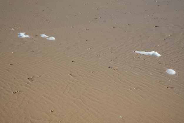 Mousse sur mer plage marée basse sur la côte de sable