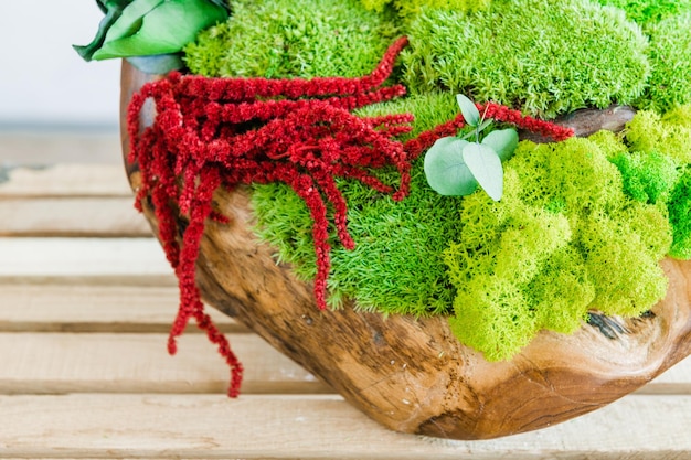 Mousse stylisée islandaise dans une cuvette en bois faite main sur un fond