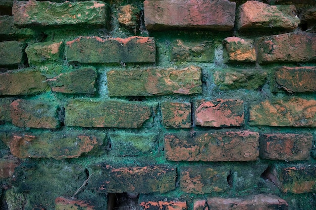 La mousse verte de champignons sur le vieux mur de briques a une texture de fond abstraite