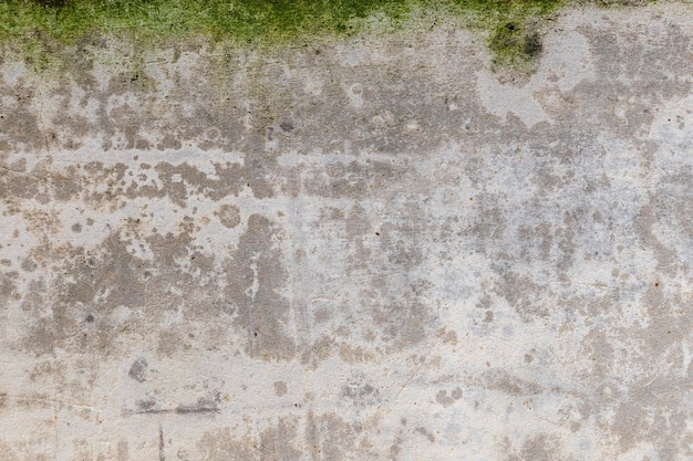 La mousse verte et les taches de pluie sur le mur de ciment