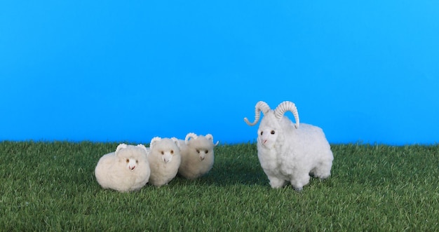 Un mouton et une chèvre sur un terrain en herbe