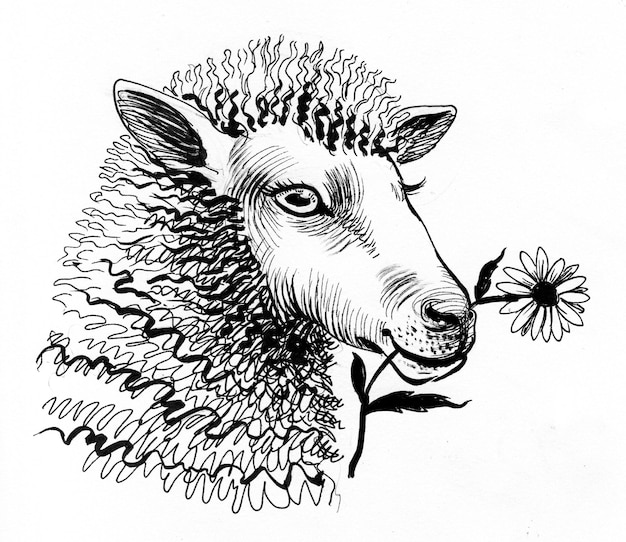 Moutons mangeant des fleurs. Dessin noir et blanc à l'encre