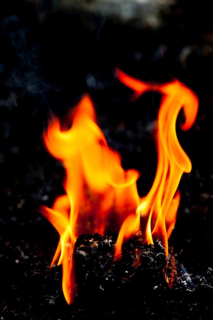 Mouvement de feu de flamme sur fond noir