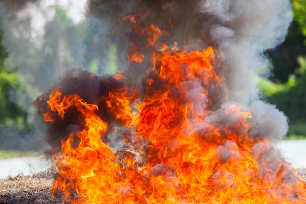 Mouvement de feu de flamme