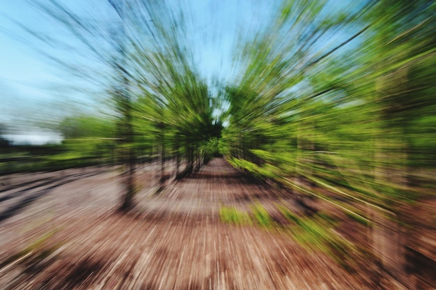 Mouvement flou des arbres qui poussent sur le champ