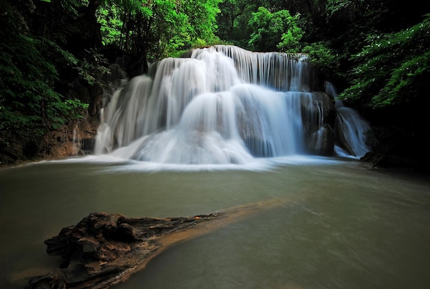 Mouvement flou de la cascade dans la forêt