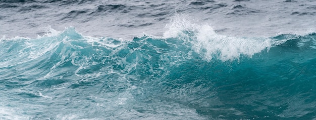 Mouvement gelé des vagues de l'océan au large d'Hawaï