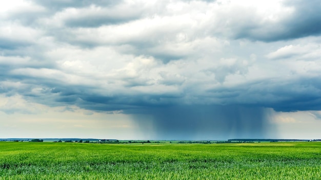 Le mouvement des nuages au-dessus d'un champ agricole avec du blé Un nuage gris d'orage et de pluie flotte dans le ciel avec une bande de pluie visible De fortes pluies dans le village en été