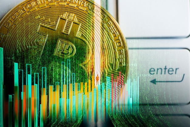 Moyen d'échange moderne Bitcoin est un paiement pratique sur le marché de l'économie mondiale