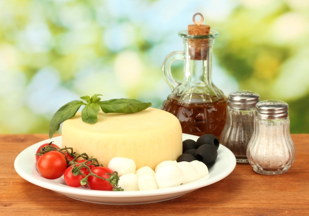 Mozzarella au fromage avec des légumes dans l'assiette sur une table en bois libre