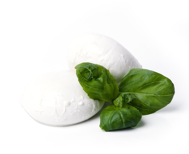 La mozzarella sur un fond blanc