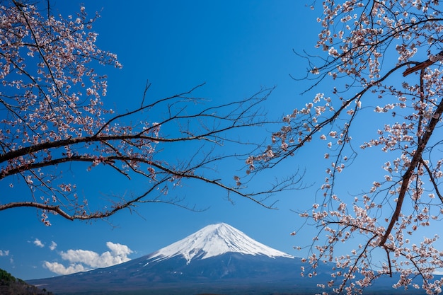 Photo mt. fuji au printemps avec des fleurs de cerisier à kawaguchiko fujiyoshida, japon.