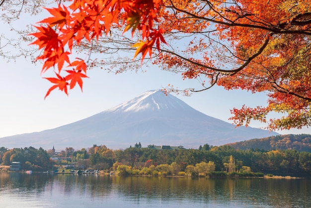 Mt Fuji en automne avec des feuilles d'érable rouges