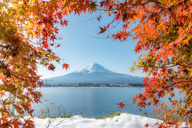 Photo mt. fuji en automne