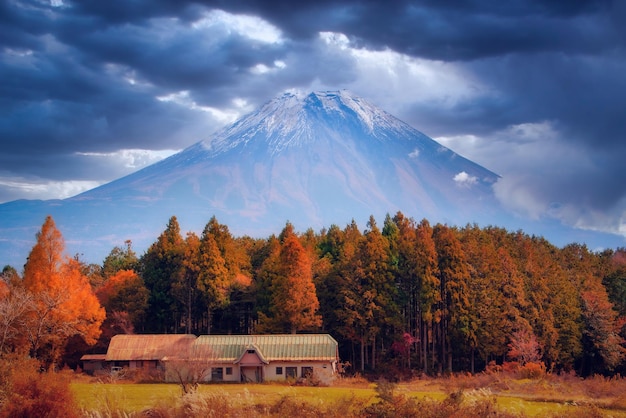 Mt Fuji sur fond de ciel bleu avec feuillage d'automne dans la journée à Fujikawaguchiko au Japon