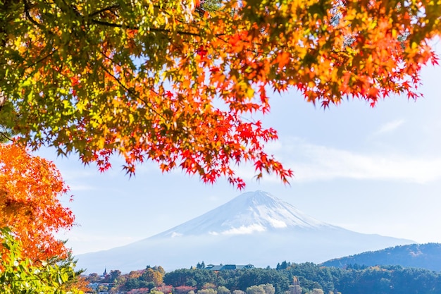 Mt Fuji en vue d'automne du lac Kawaguchiko