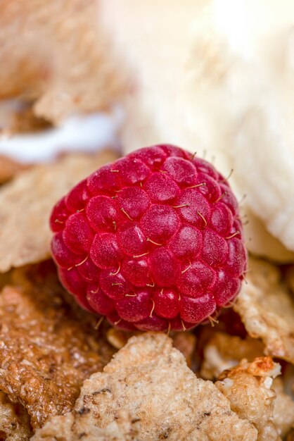 Muesli. Petit-déjeuner, alimentation saine et alimentation. Muesli aux fruits dans une assiette sur fond rose. Bleuets, fraises et framboises sur fond de flocons de muesli. Imprimer la bannière avec espace de copie.