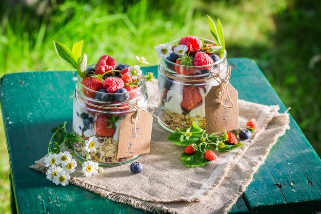 Muesli savoureux avec du yaourt et des petits fruits en journée ensoleillée