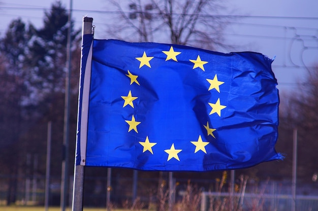 Un muet d'hiver déploie le drapeau européen