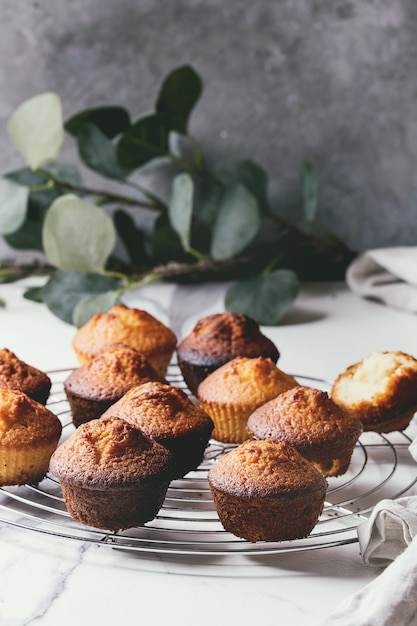 Muffins au citron faits maison