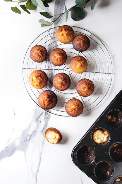 Muffins au citron faits maison