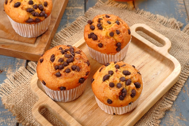 Muffins aux pépites de chocolat sur fond gris