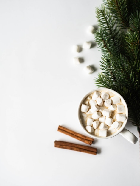 Mug blanc au cacao avec épices et guimauves