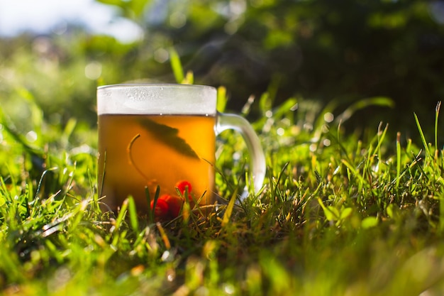 Mug transparent avec thé noir frais aux baies chaudes et cassis Une boisson vivifiante tôt le matin dans la nature avec les rayons du soleil chaud