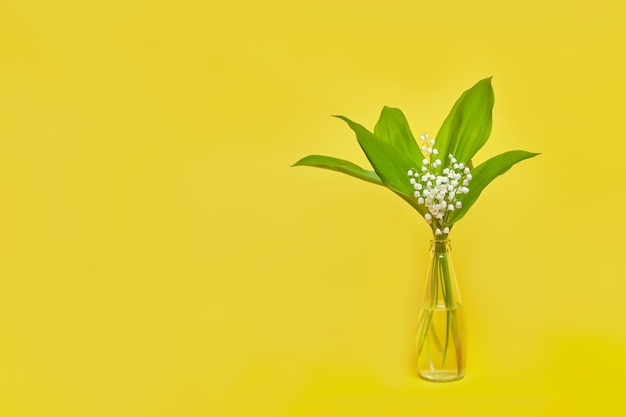 Photo muguet sur fond jaune