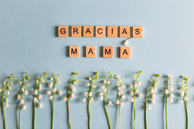 Muguet sur la photo bleue et le texte en lettres en bois "gracias mamÃƒÂ¡".