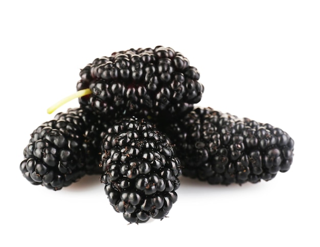 Mulberry frais isolé sur blanc
