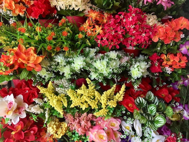 Photo multi couleur de fond de plante en plastique sur le mur