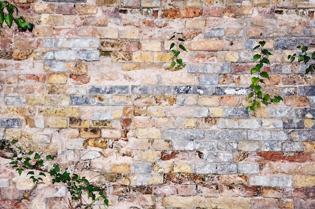 Un mur ancien et caractéristique, brickwall coloré