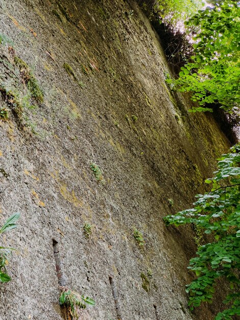 Photo le mur de l'ancienne forteresse sur petrovaradin novi sad, en serbie