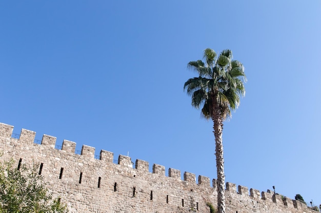 Le mur de l'ancienne forteresse de la ville portuaire de Kaleici et le grand palmier.