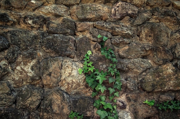 Mur antique brun. Fond de brique