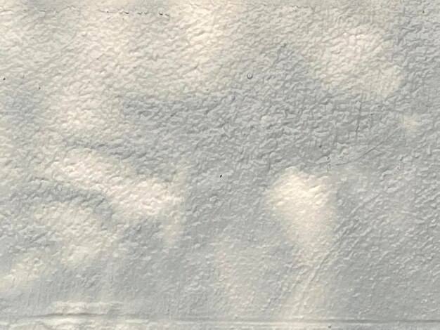 Un mur blanc avec l'ombre d'un arbre dessus.