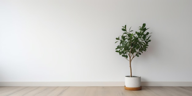 Un mur blanc avec une plante dedans